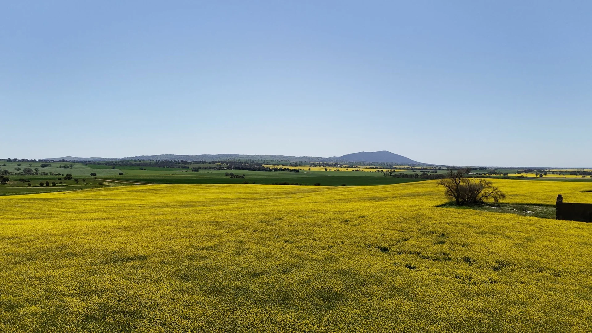 Additional image 12 of 'Ryans' Archie Road, Murray Town SA 5481