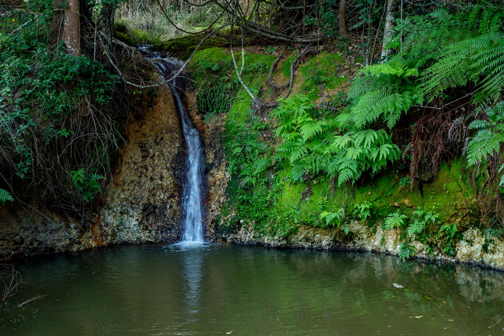 Additional image 2 of Sleepy Hollow NSW 2483