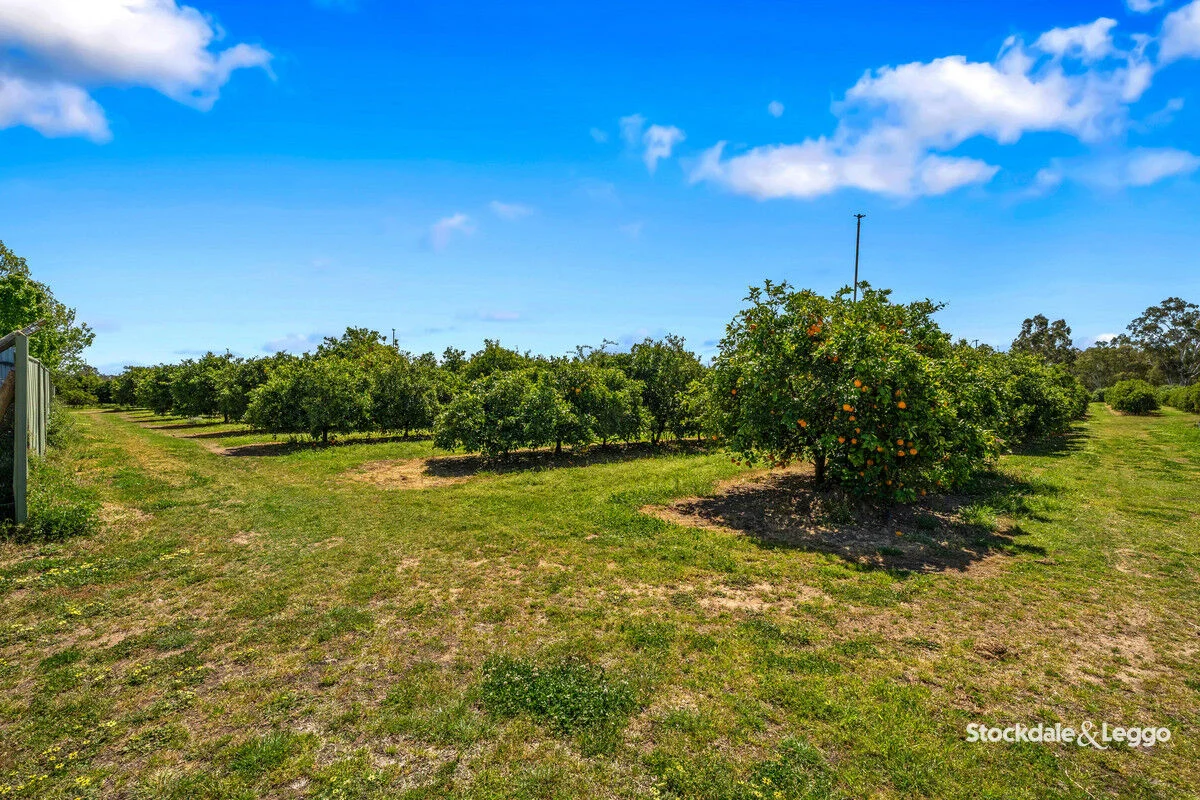 Additional image 28 of 154-198 Torgannah Road, Koonoomoo VIC 3644