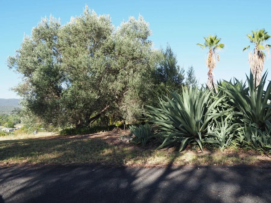 Additional image 20 of 8 White Street, Bingara NSW 2404