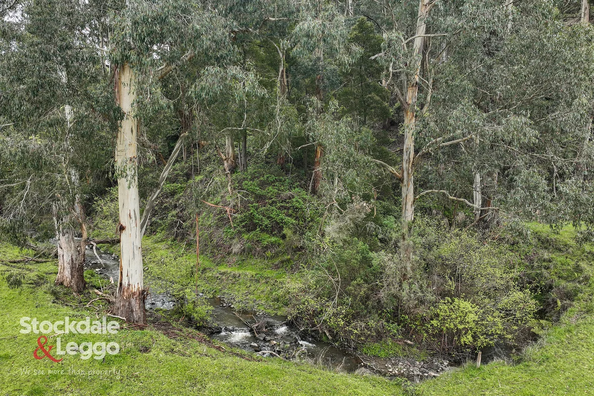 Additional image 33 of 140 Mirboo - Yarragon Road, Allambee South VIC 3871