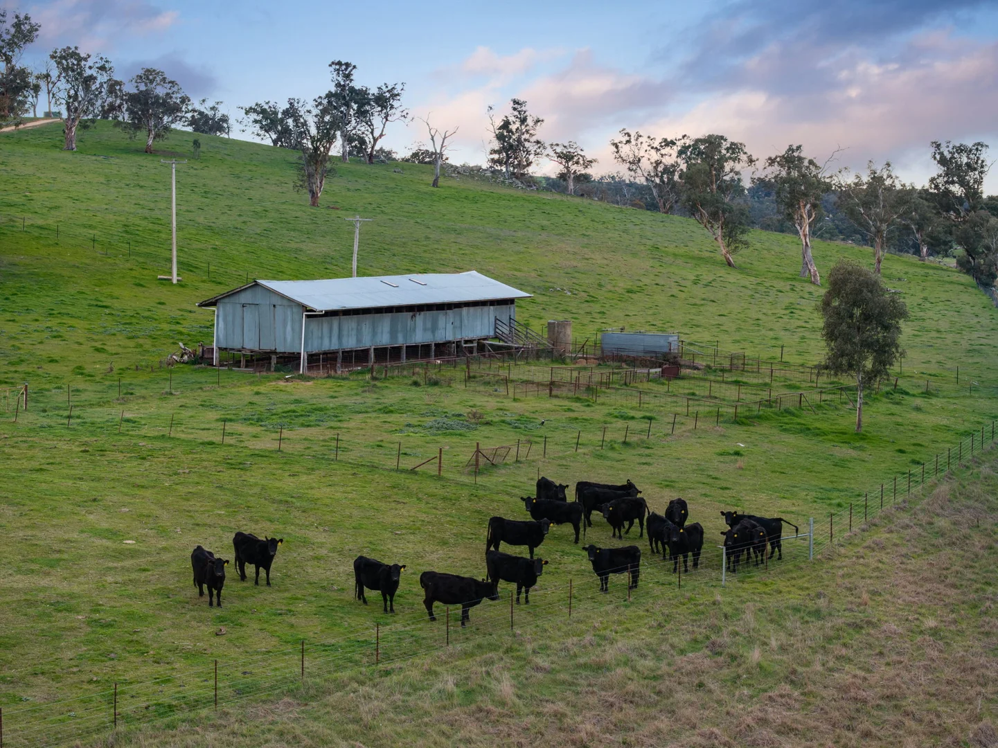 Additional image 20 of "Garratt" 597 Garratt Road, Jugiong NSW 2726