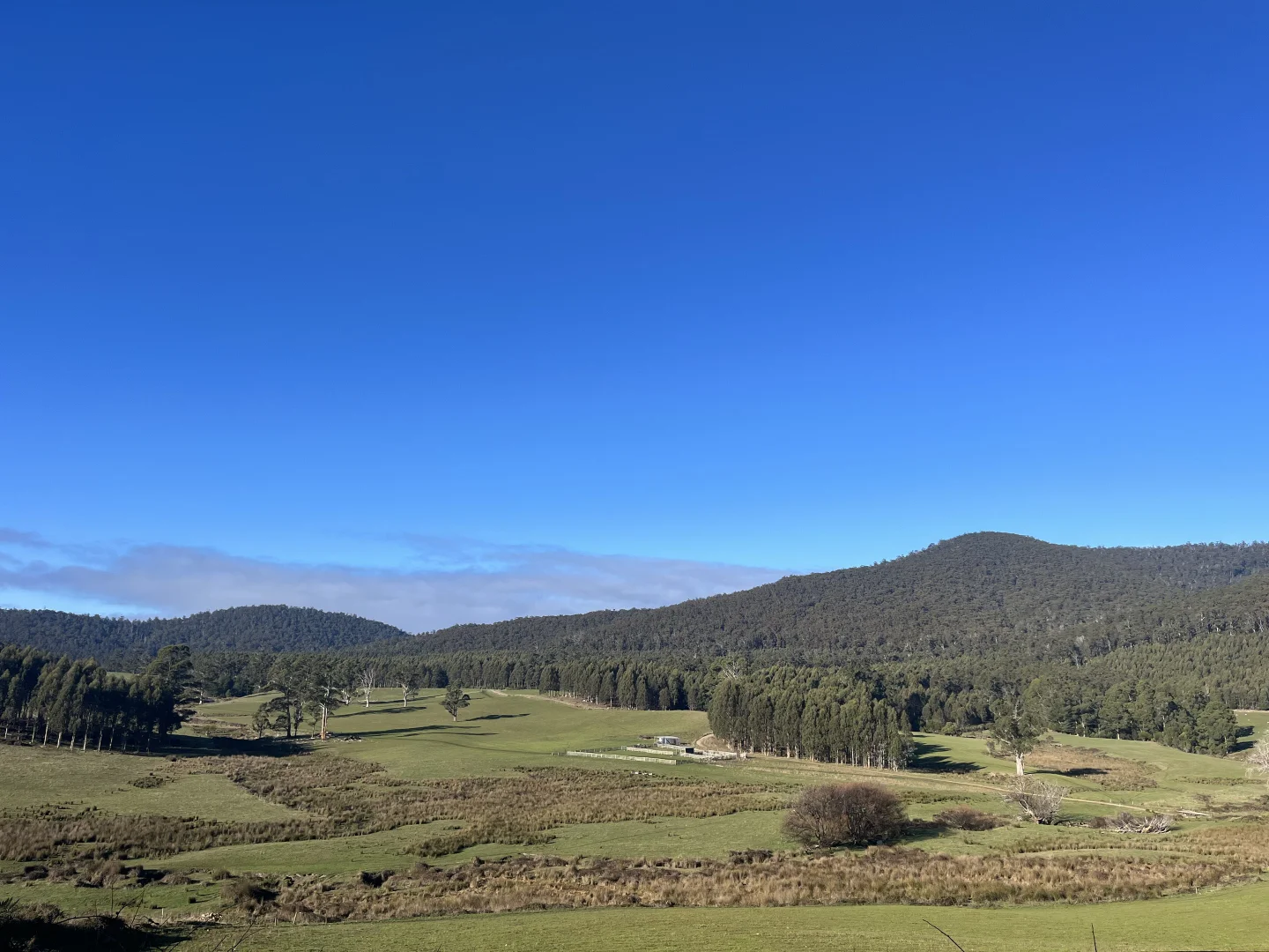 Additional image 11 of . Powers Road, Pyengana TAS 7216