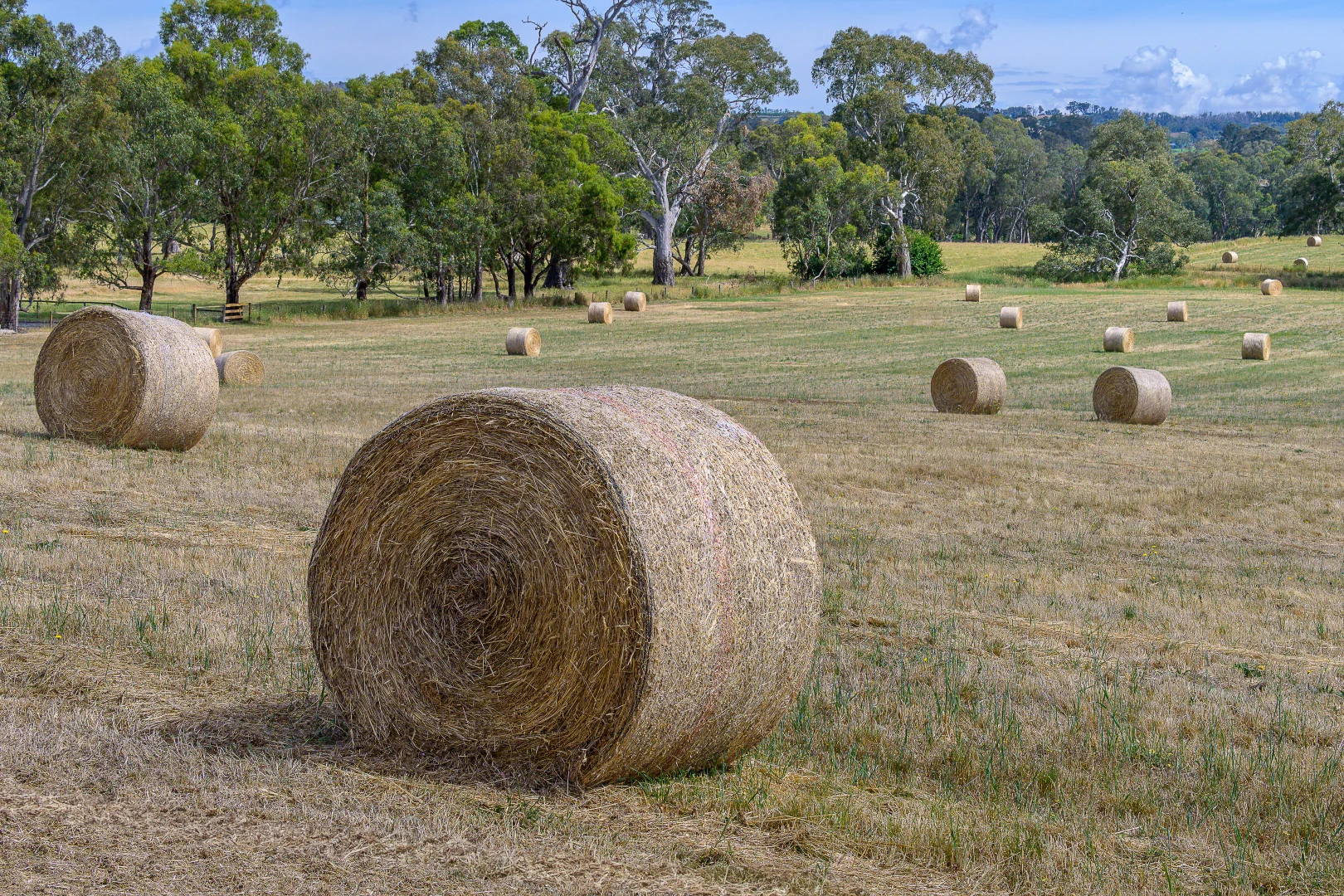 Additional image 11 of Lot 20 & 21 Newman Road, Charleston SA 5244