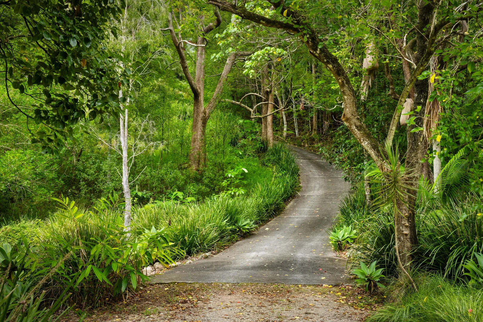 Additional image 30 of 715 Left Bank Road, Mullumbimby Creek NSW 2482