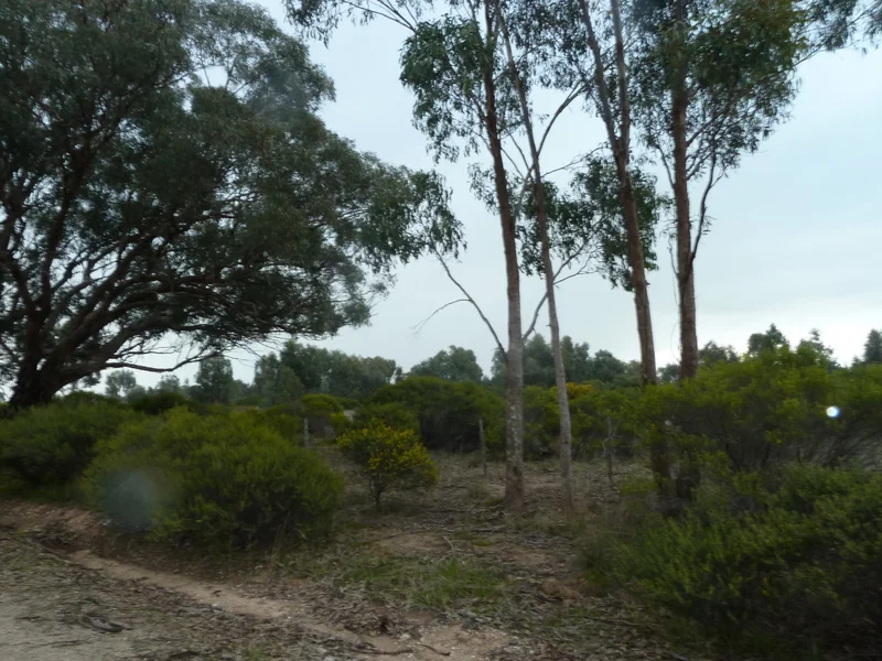 Additional image 9 of Lot 50 Wedderburn Junction East-Fiery Flat Road, Wedderburn VIC 3518