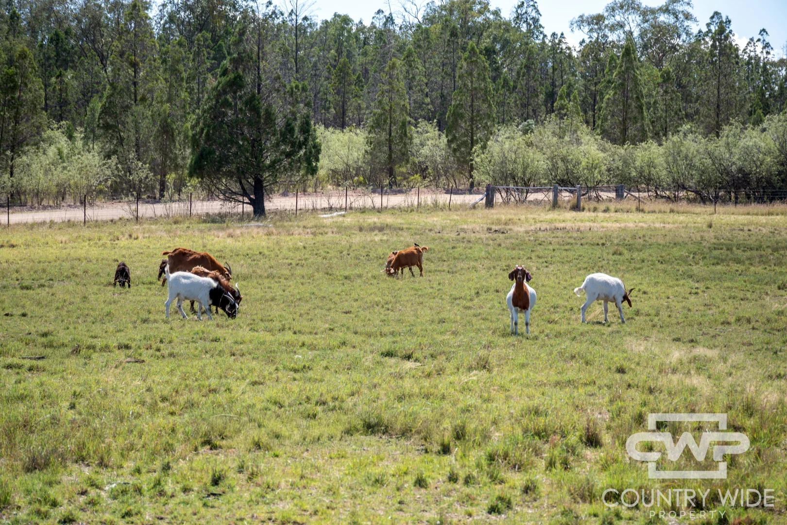 Additional image 22 of 1986 Pindari Dam Road, Pindaroi NSW 2361