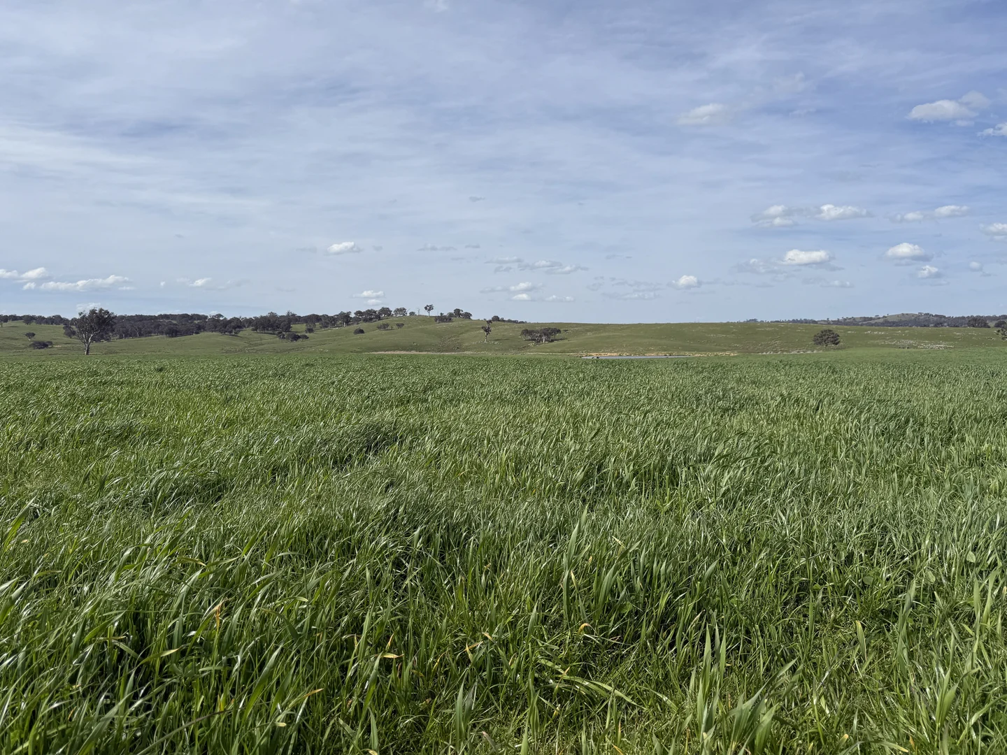 Additional image 5 of 569 & 640 Blakney Creek North Road, Blakney Creek NSW 2581