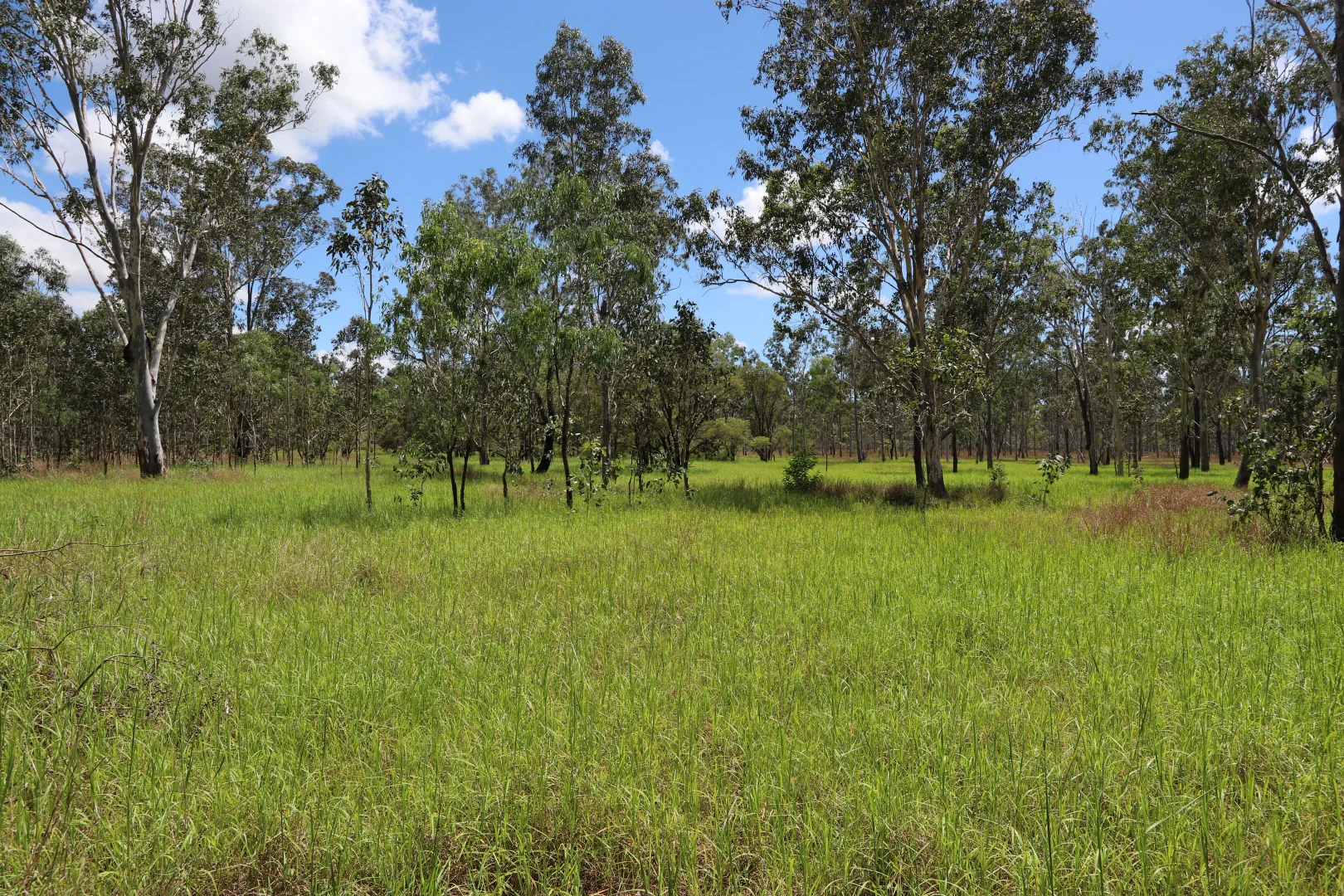 Additional image 17 of 330 Doonside Road, Jardine QLD 4702