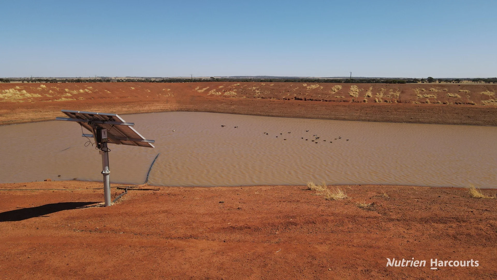 Additional image 21 of . Waitavalo Farms, Narembeen WA 6369
