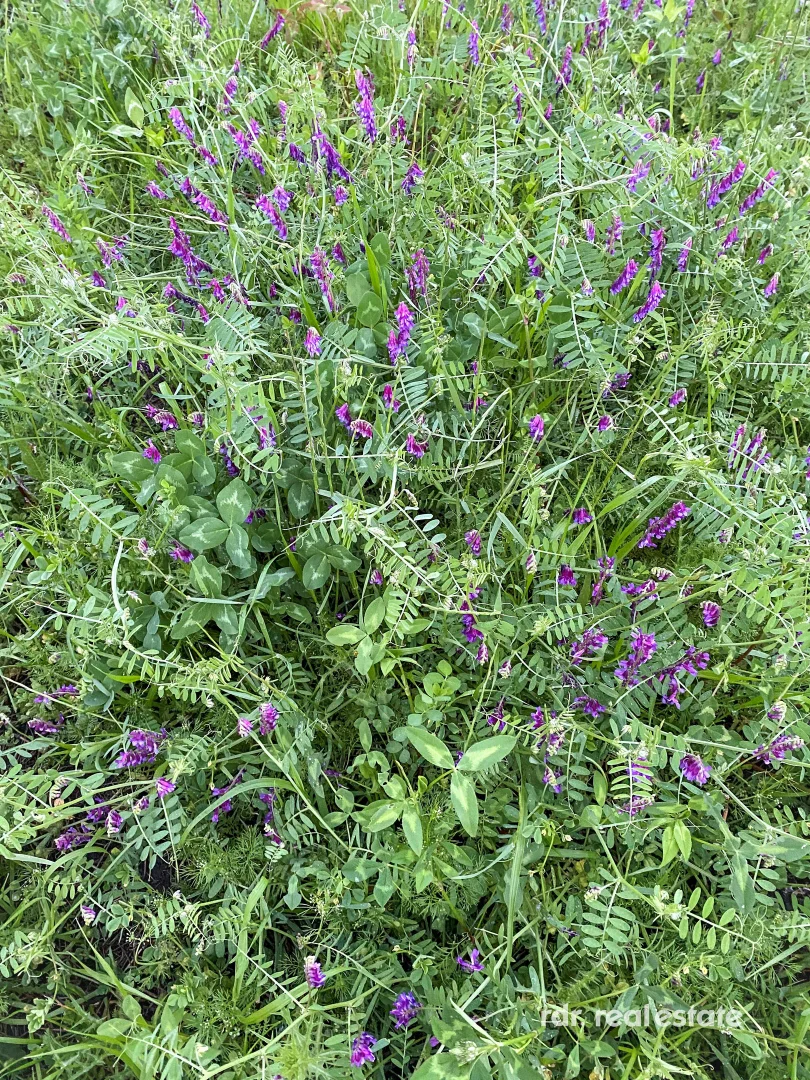 Additional image 30 of 911 Karoola Rd, Graman, Inverell NSW 2360