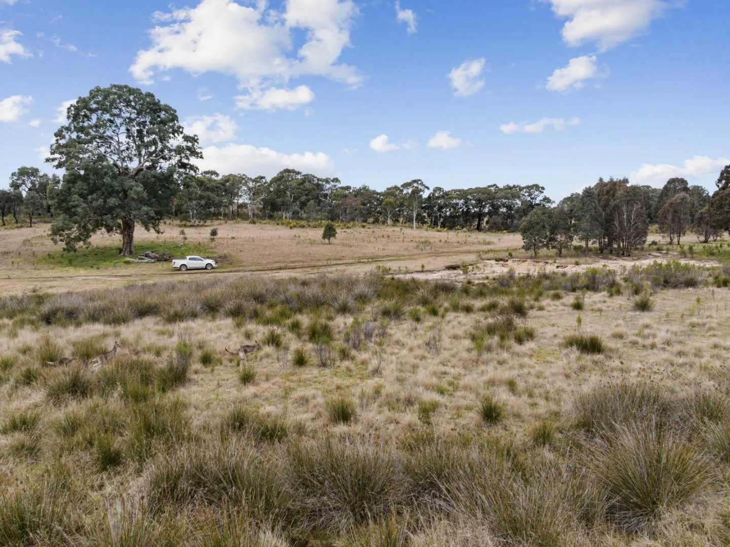 Additional image 36 of 2102 Kiowarrah Road, Bevendale NSW 2581