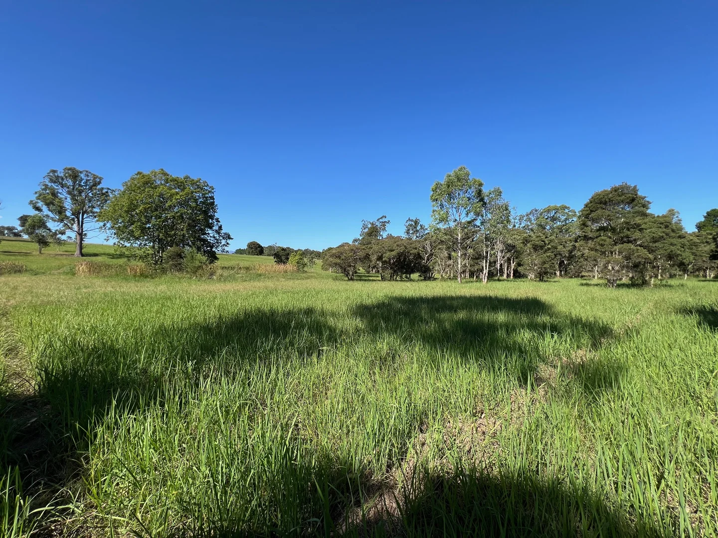 Additional image 4 of 64 Mooral Creek Road, Cedar Party NSW 2429