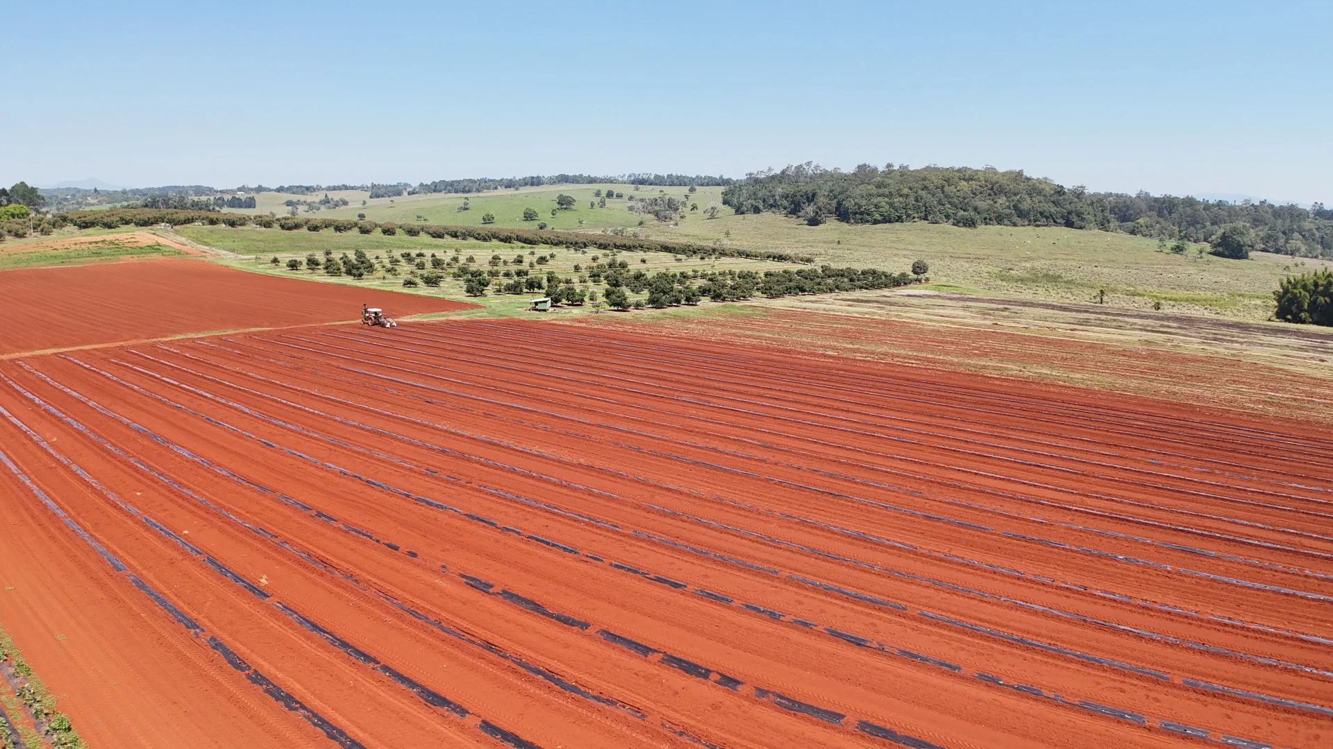 Additional image 64 of 767 Peeramon Road, Peeramon QLD 4885