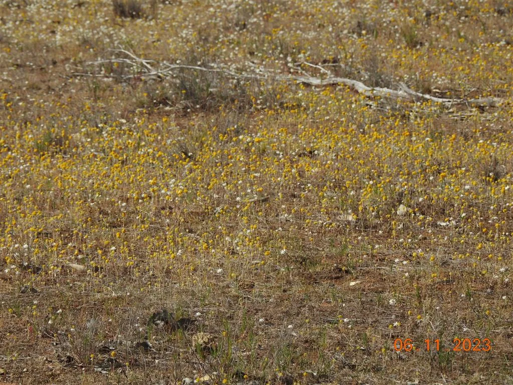 Additional image 8 of Lot 7 Wedderburn-Serpentine Rd, Glenalbyn VIC 3517