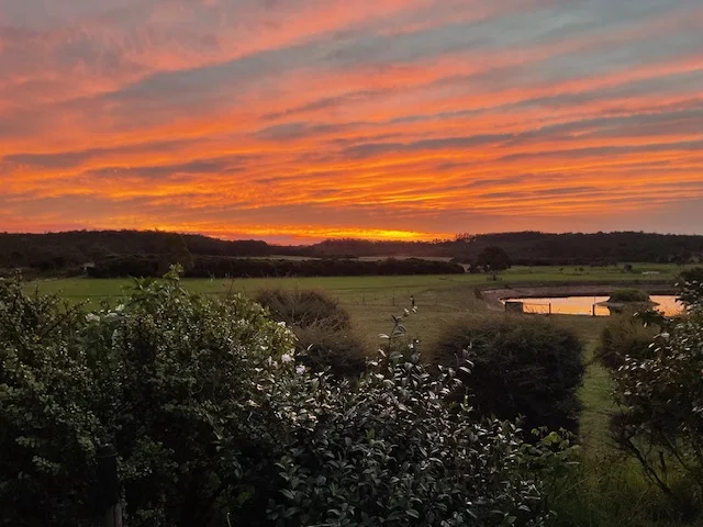 Additional image 28 of 249 Harewood Road, Scotsdale WA 6333