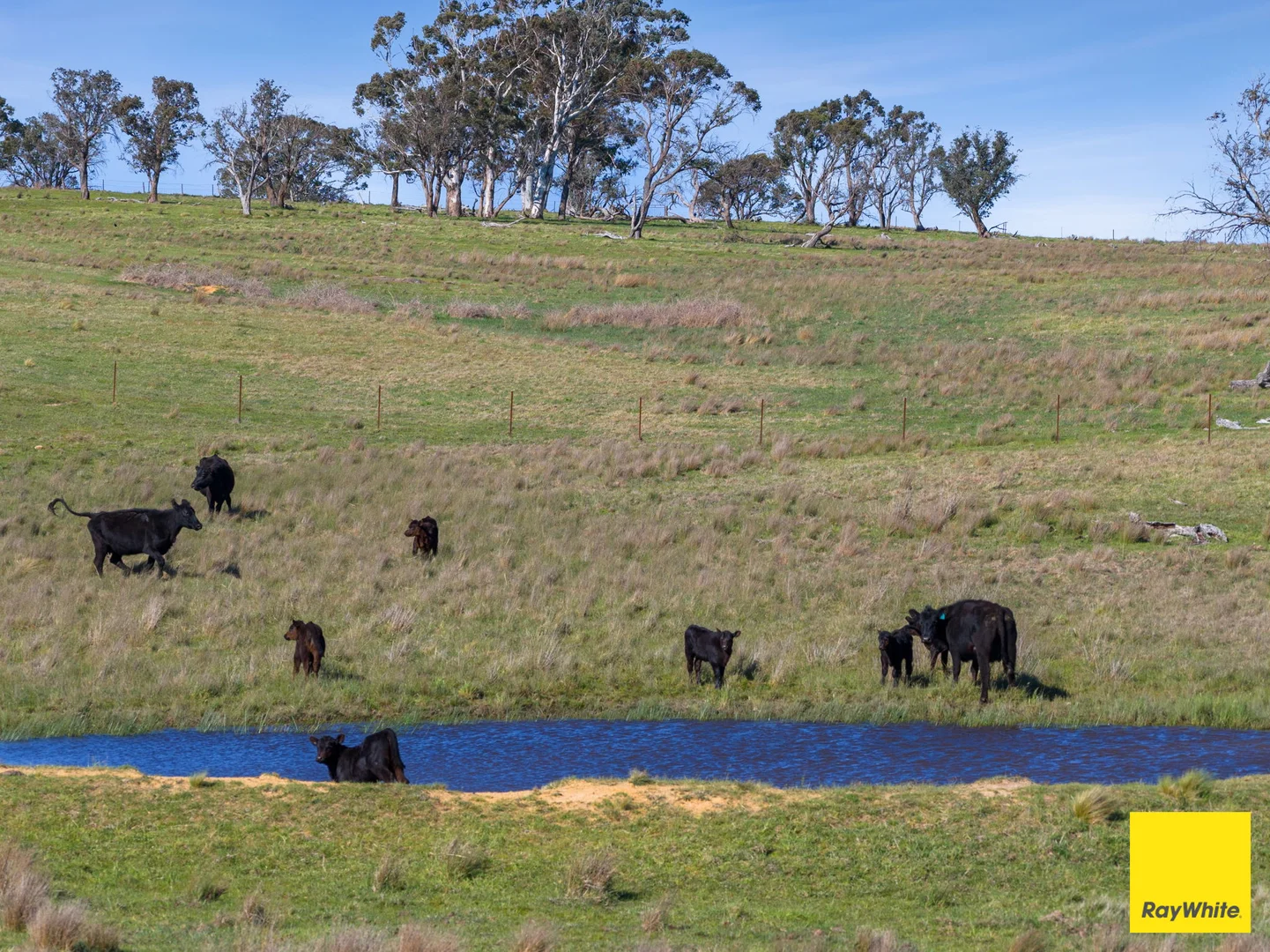 Additional image 10 of 115 Goulburn Road, Mulloon NSW 2622