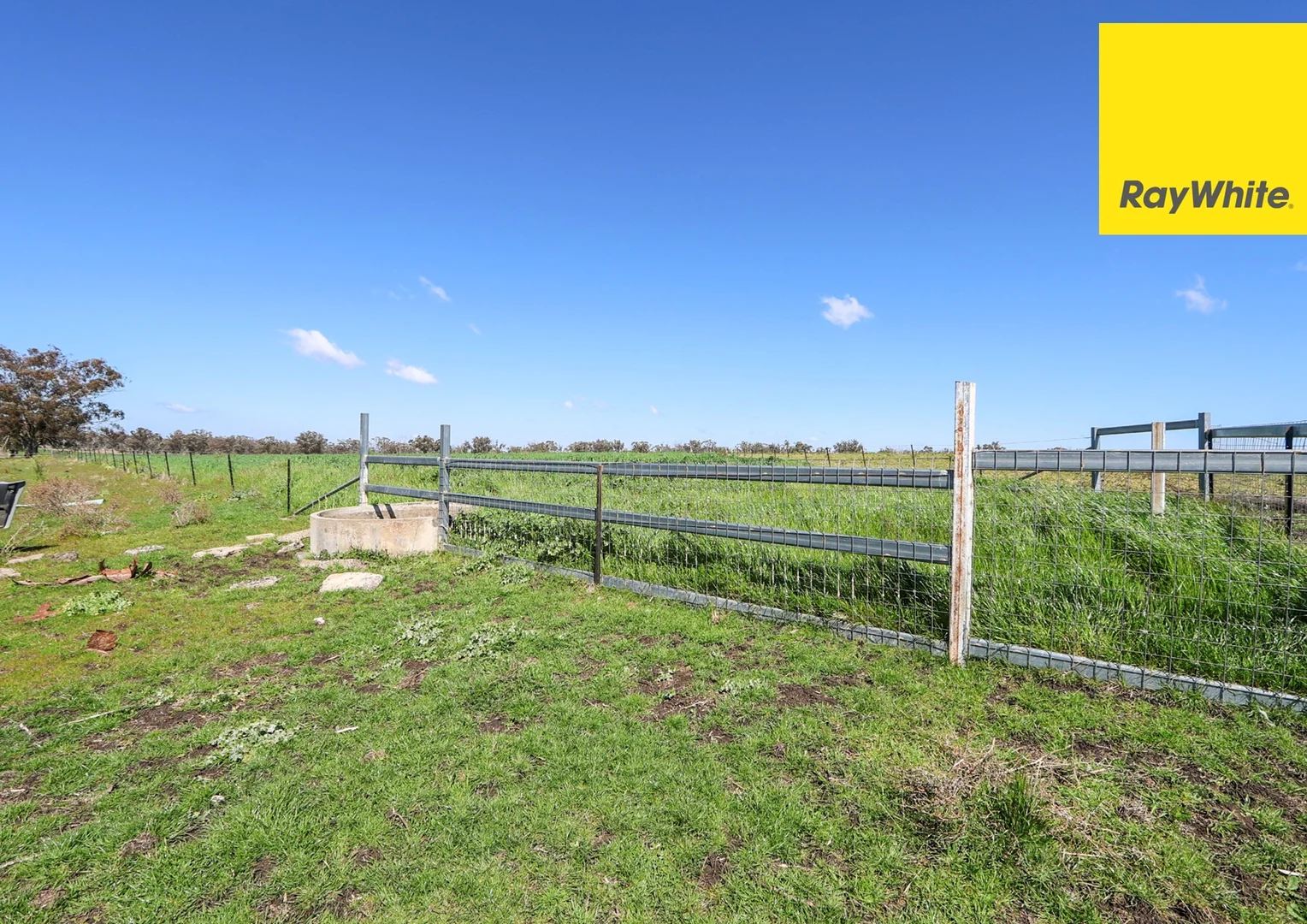 Additional image 8 of 154 Delungra Bypass Road, Inverell NSW 2360