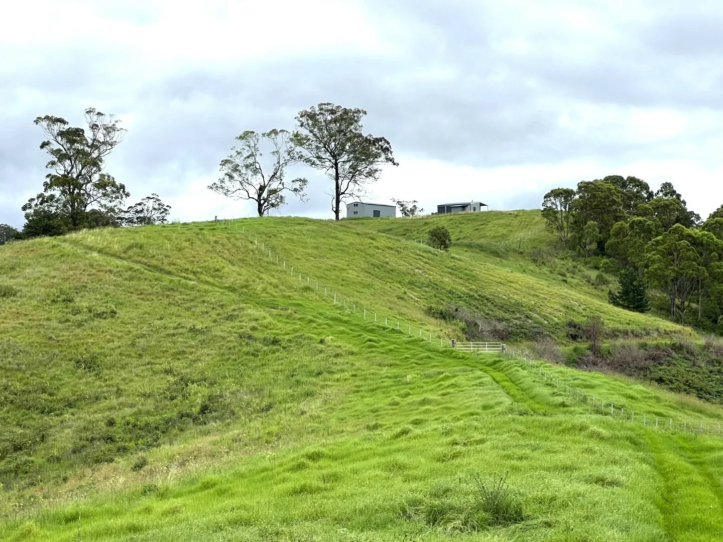 Additional image 43 of 59 Wyndham Road, Wyneden NSW 2474