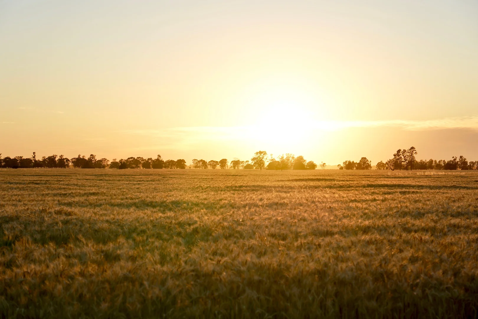 Additional image 34 of Buddabadah NSW 2825