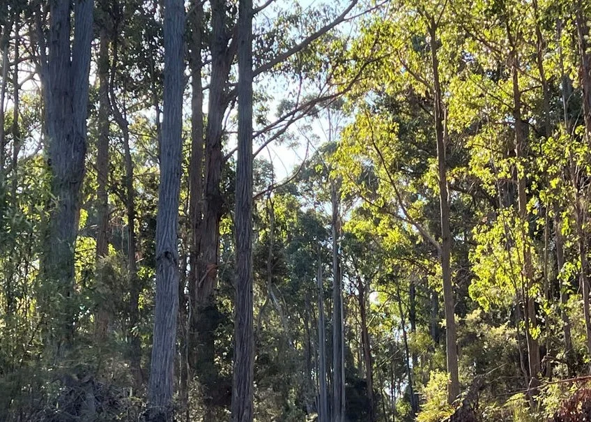 Additional image 12 of 2204 East Tamar Highway, Mount Direction TAS 7252