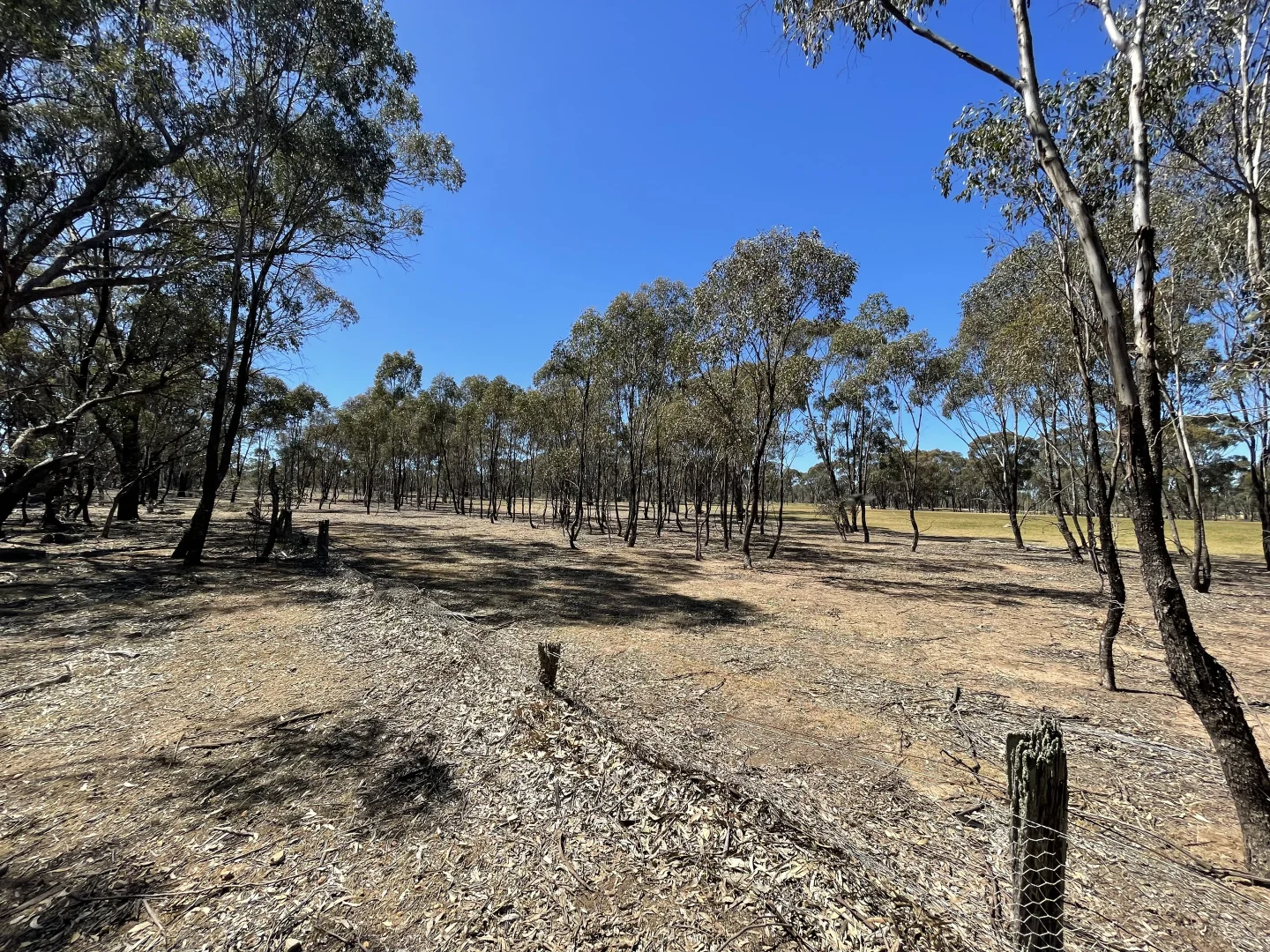 Additional image 22 of Allotment 7D Wedderburn Road, St Arnaud East VIC 3477
