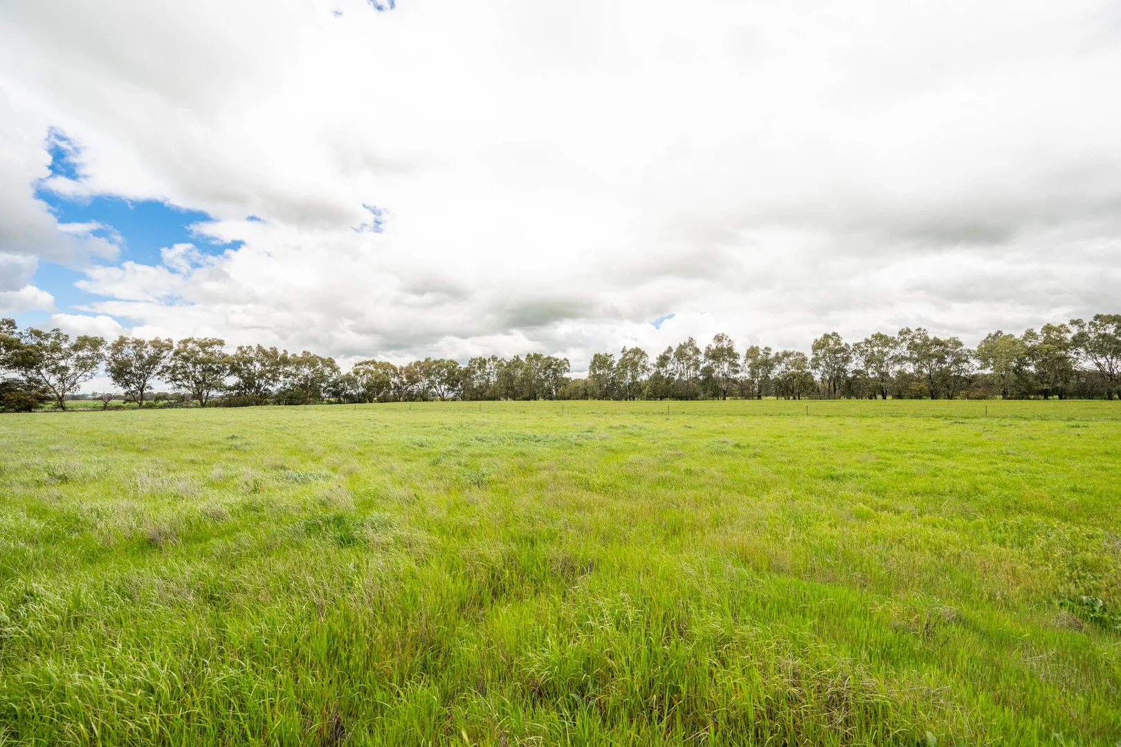Additional image 42 of 145 Lane Road, Katandra West VIC 3634