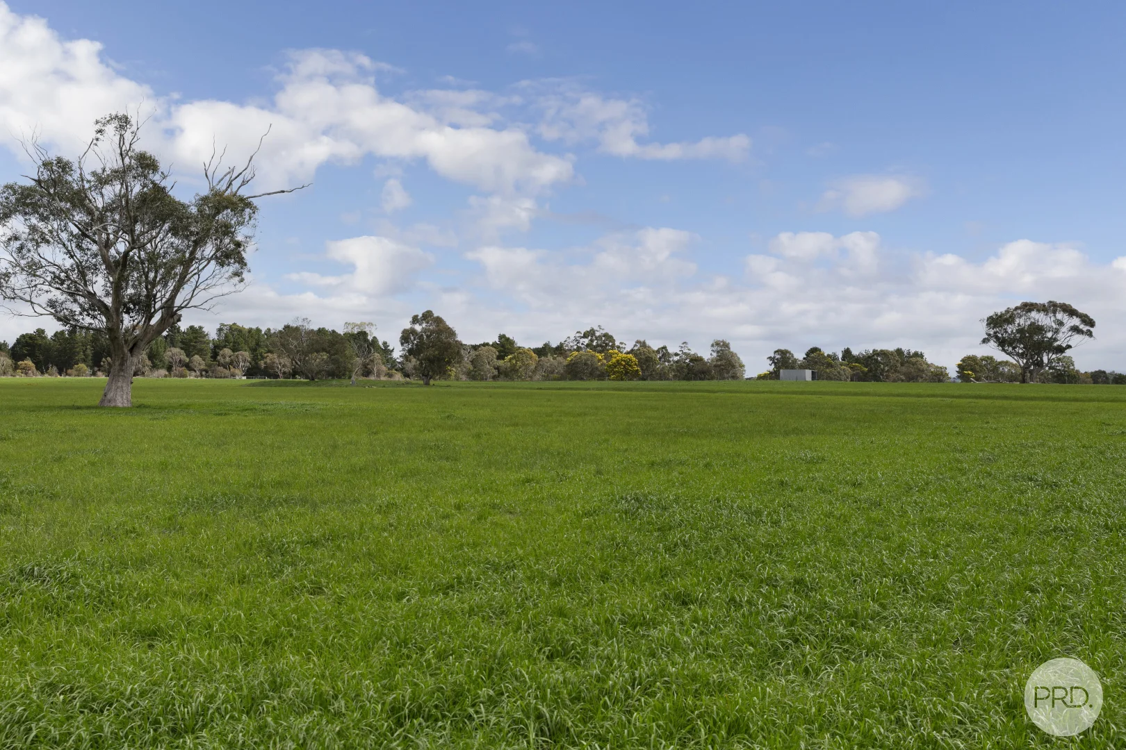 Additional image 12 of 360 Clunes-Creswick Road, Creswick VIC 3363