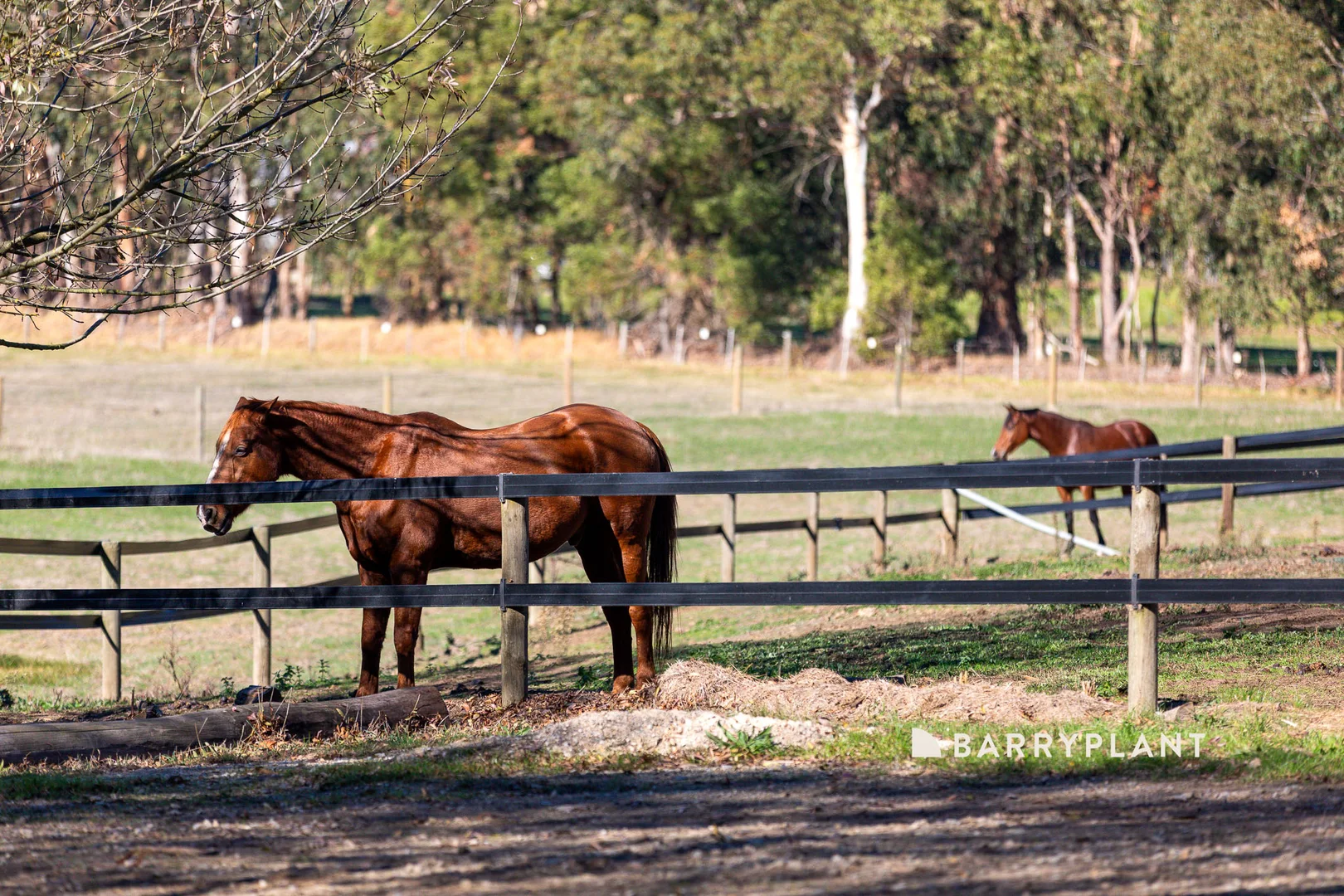 Additional image 14 of 28 Roches Road, Trafalgar VIC 3824
