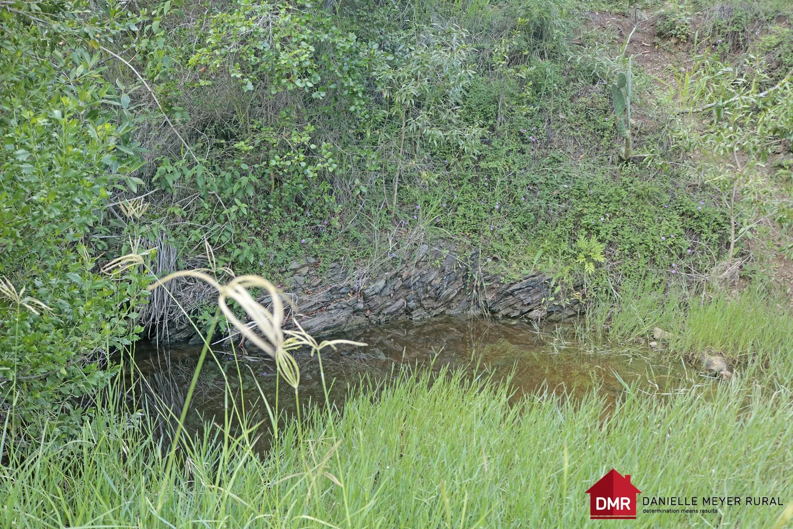 Additional image 25 of 205 Dempsters Road,, Binjour QLD 4625