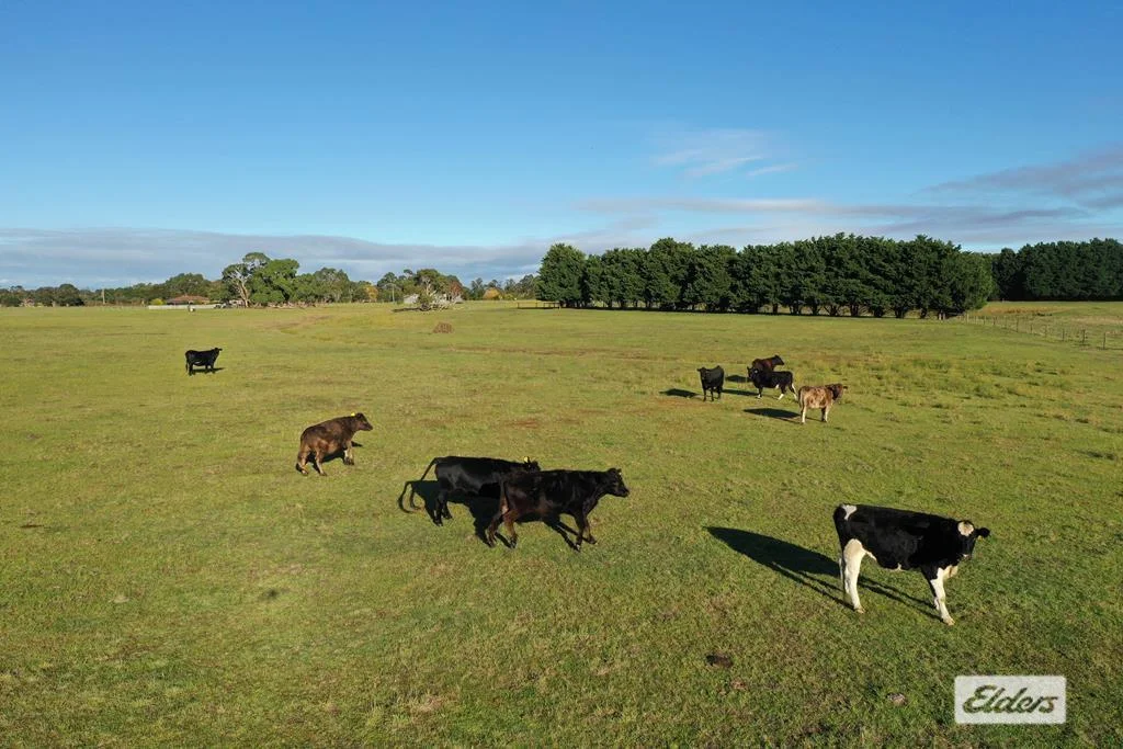 Additional image 8 of 4 Masons Road, Yarram VIC 3971