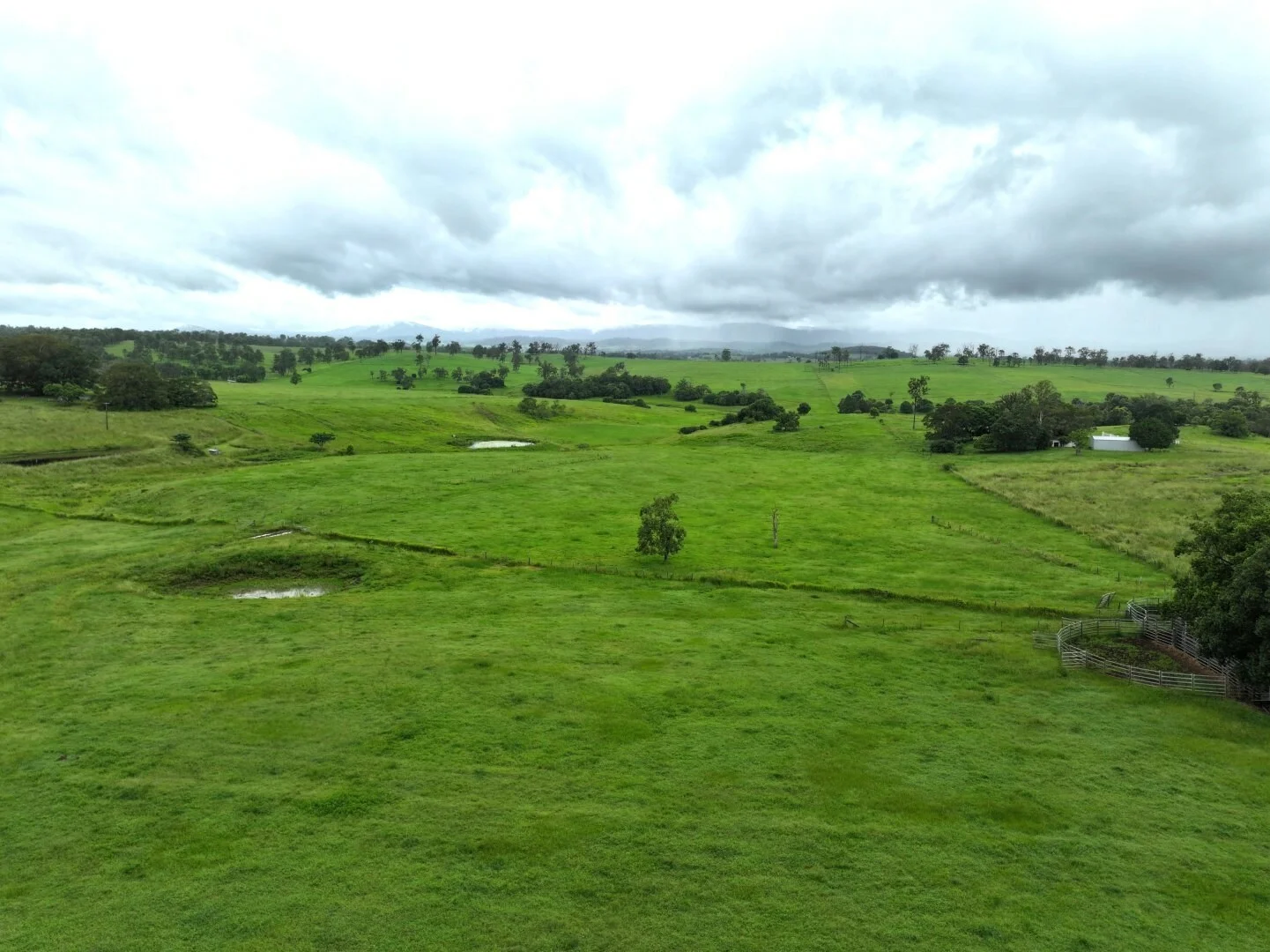 Additional image 11 of 284 Upper Stratheden Road, Kyogle NSW 2474