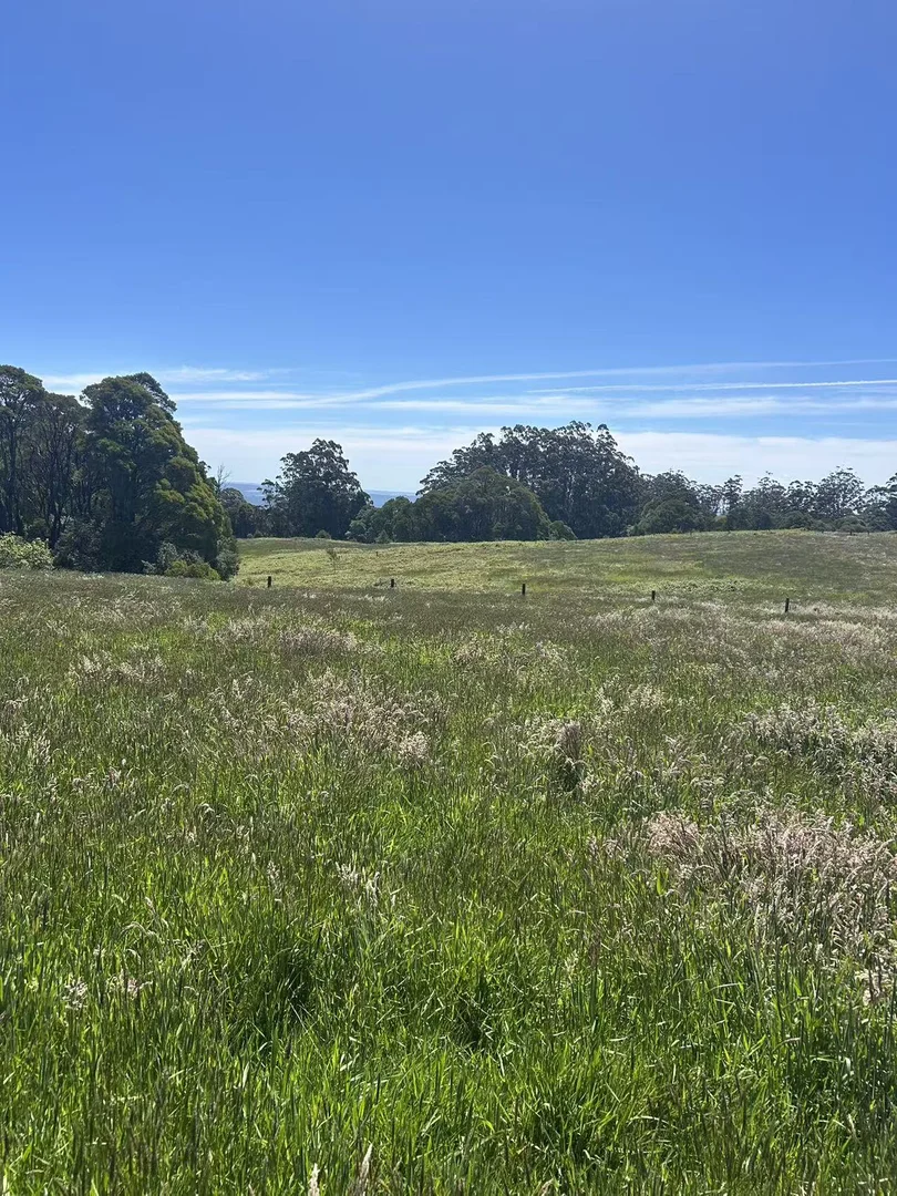 Additional image 4 of 18A Great Ocean Road, Lavers Hill VIC 3238