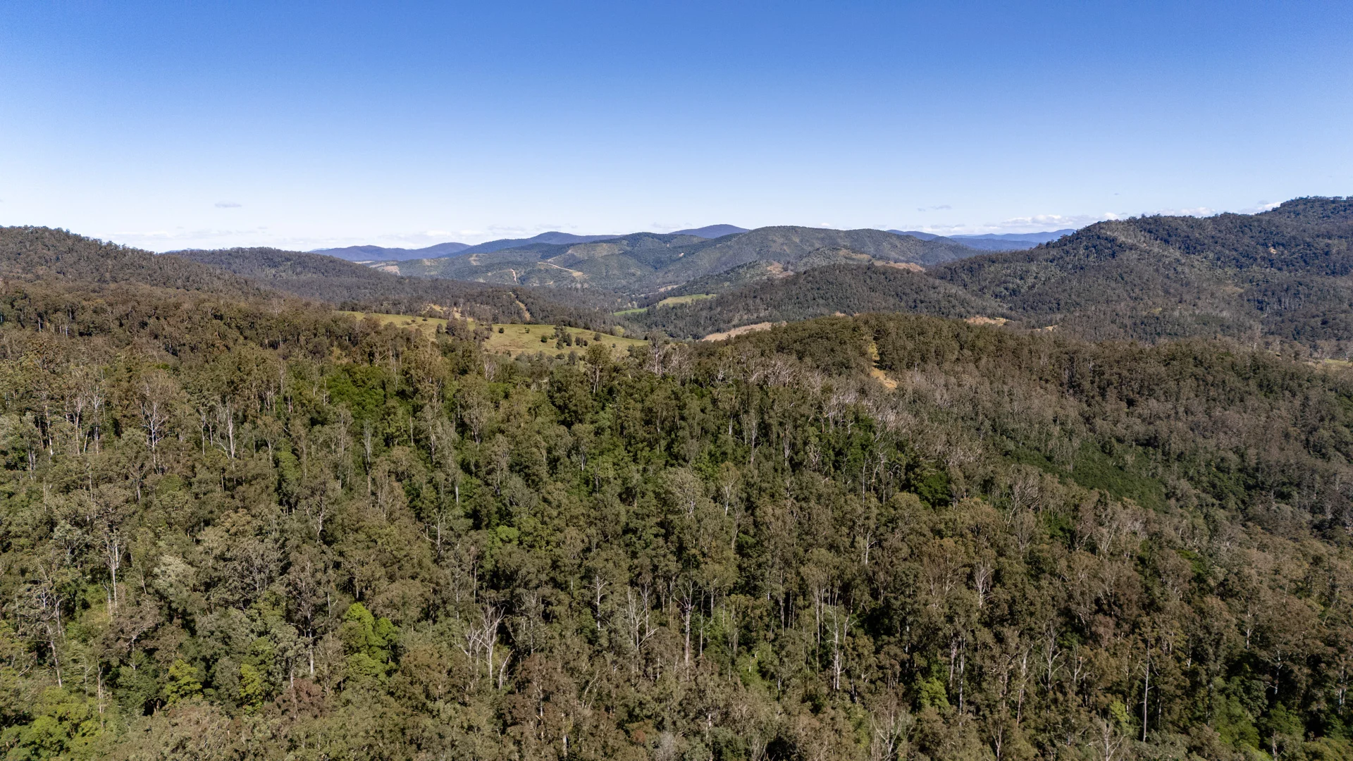 Additional image 9 of 3542 Nowendoc Road, Caffreys Flat NSW 2424