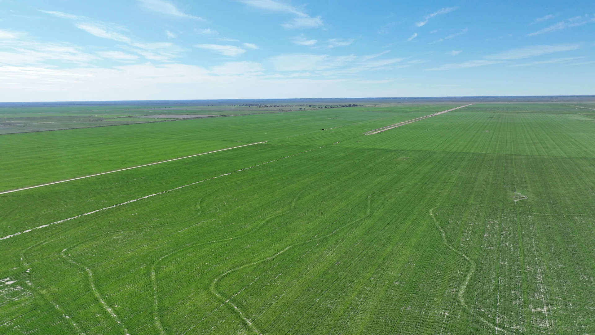 Additional image 10 of "North Devon" Dalys Road, Deniliquin NSW 2710