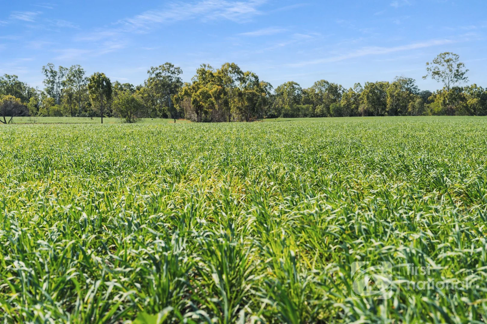 Additional image 4 of 149 Smiths Crossing Road, Bucca QLD 4670