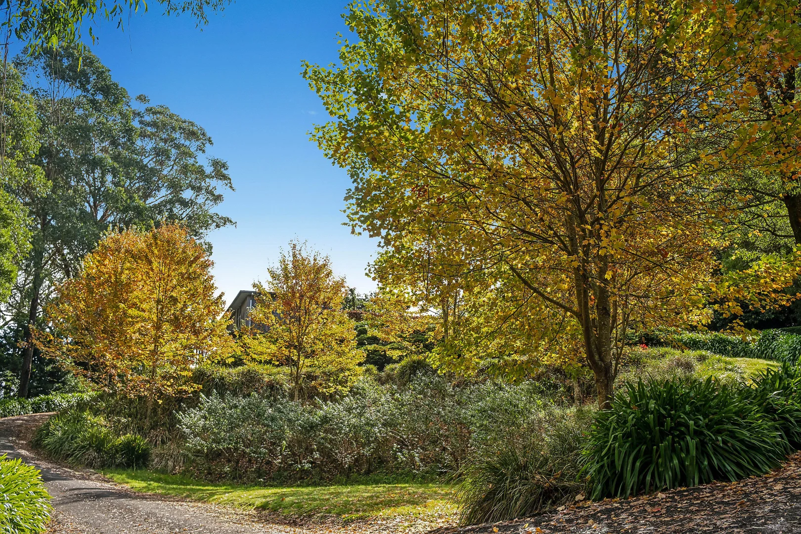 Additional image 29 of 55 Warreeah Lane, Kangaloon NSW 2576