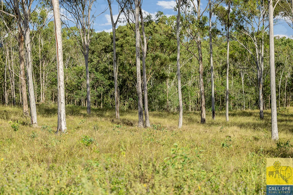 Additional image 17 of 400 Wildman Road, Iveragh QLD 4680