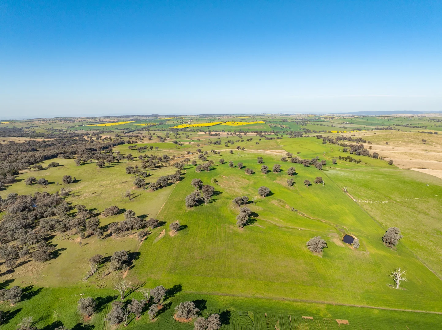 Additional image 26 of Bumbaldry Road, Greenethorpe NSW 2809