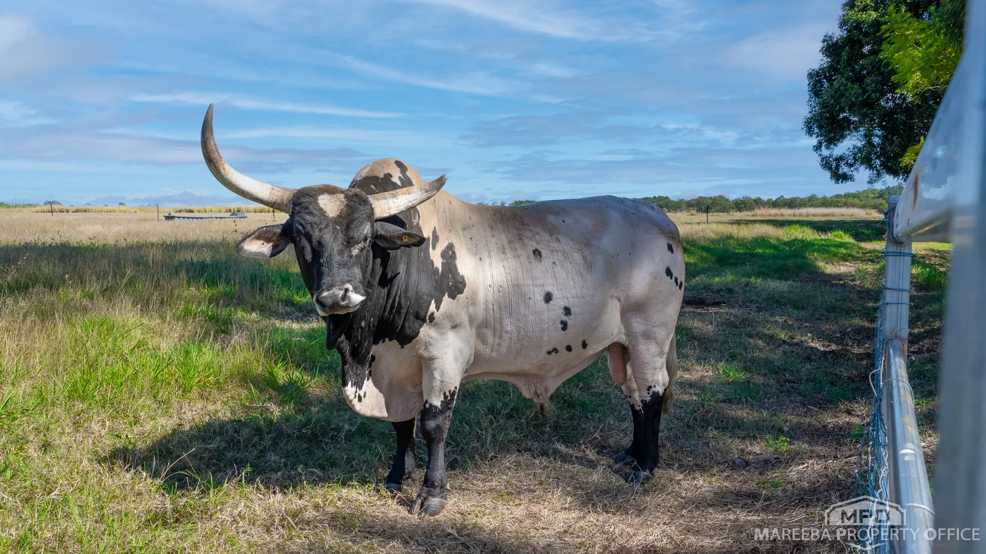 Additional image 62 of 76 Davies Creek Road, Mareeba QLD 4880