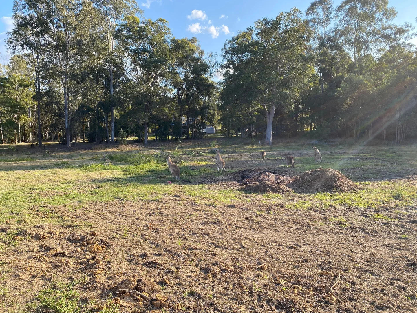 Additional image 6 of Lot 6/45 Richards Court, Bellmere QLD 4510