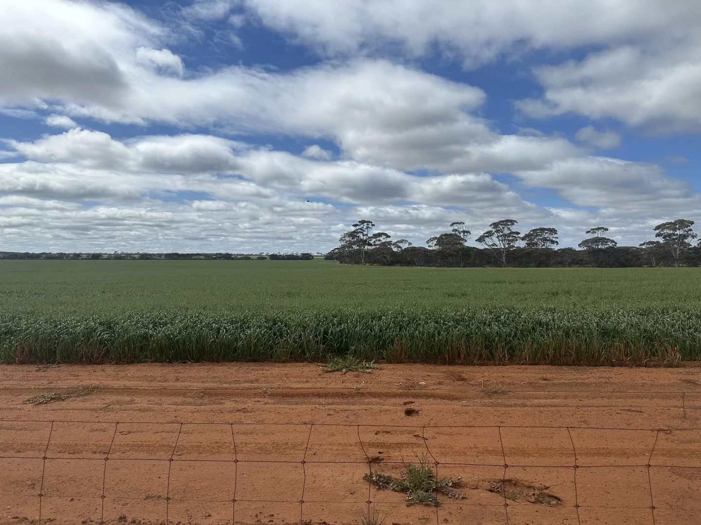 Additional image 23 of 3279 Calzoni Road, Hyden WA 6359