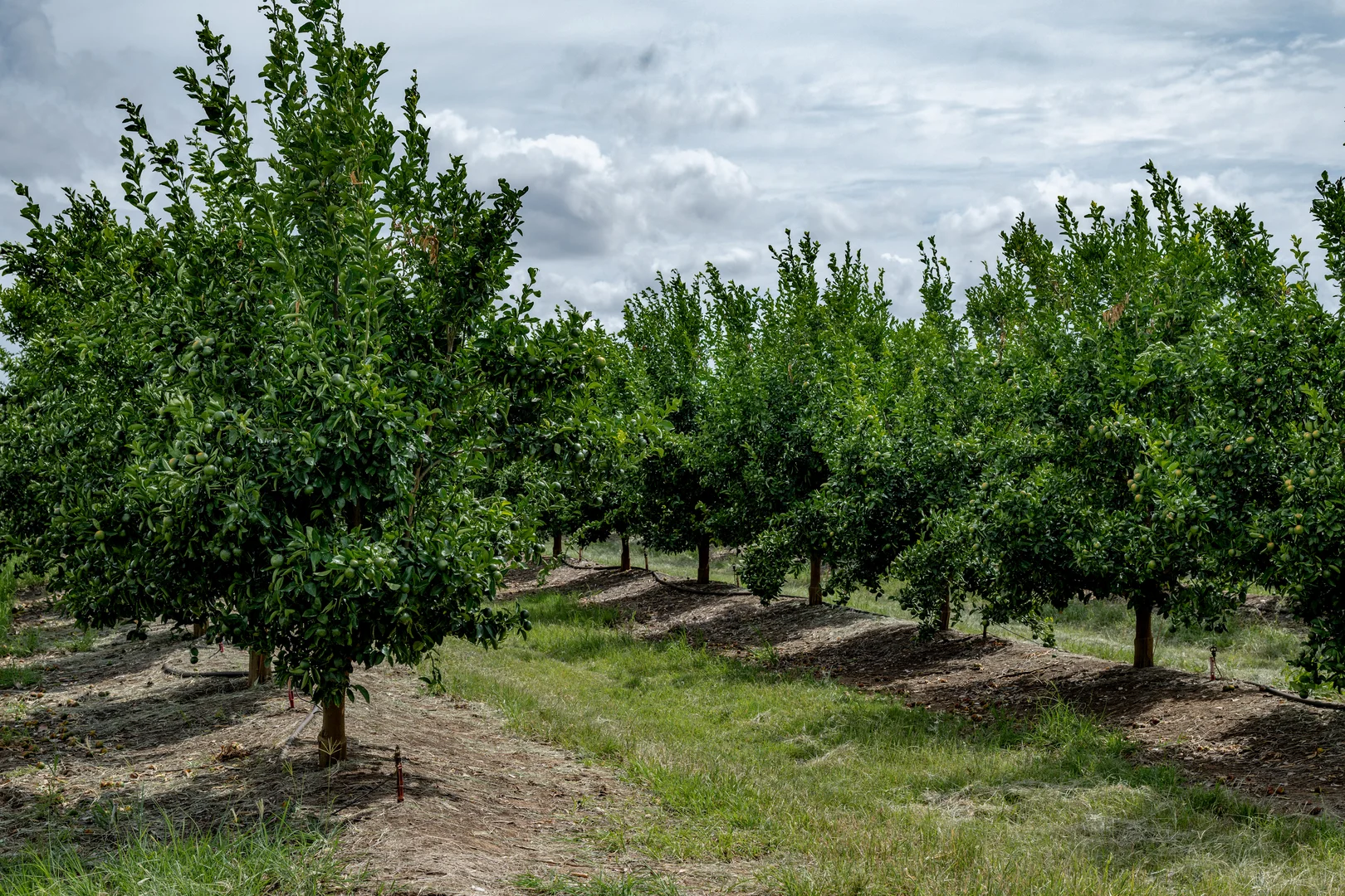 Additional image 20 of 100 Sandersons Lane, Mundubbera QLD 4626