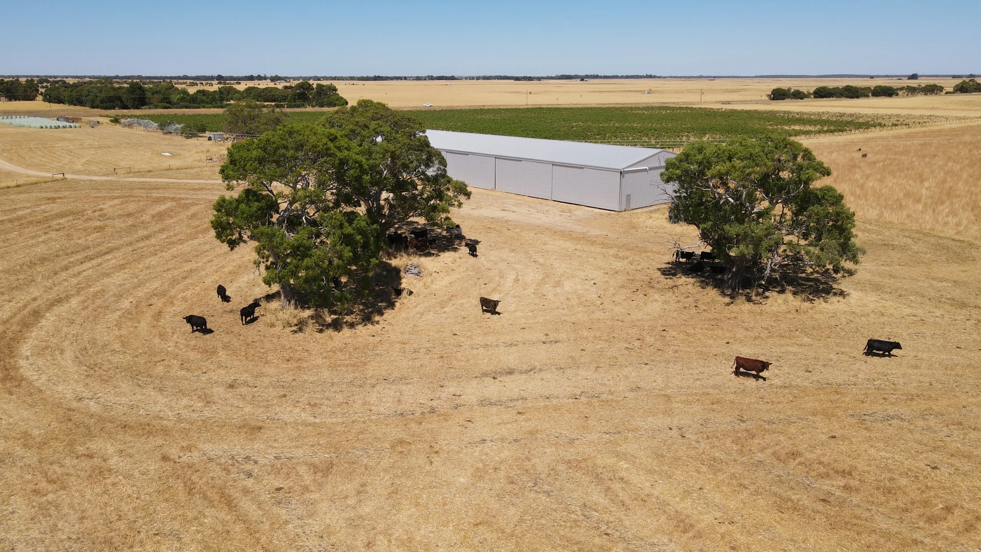 Additional image 5 of 8283 Clay Wells Rd, Penola SA 5277