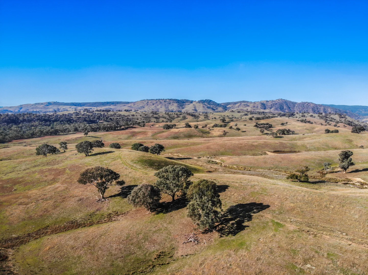 Additional image 4 of 1072 Wee Jasper Road, Tumut NSW 2720