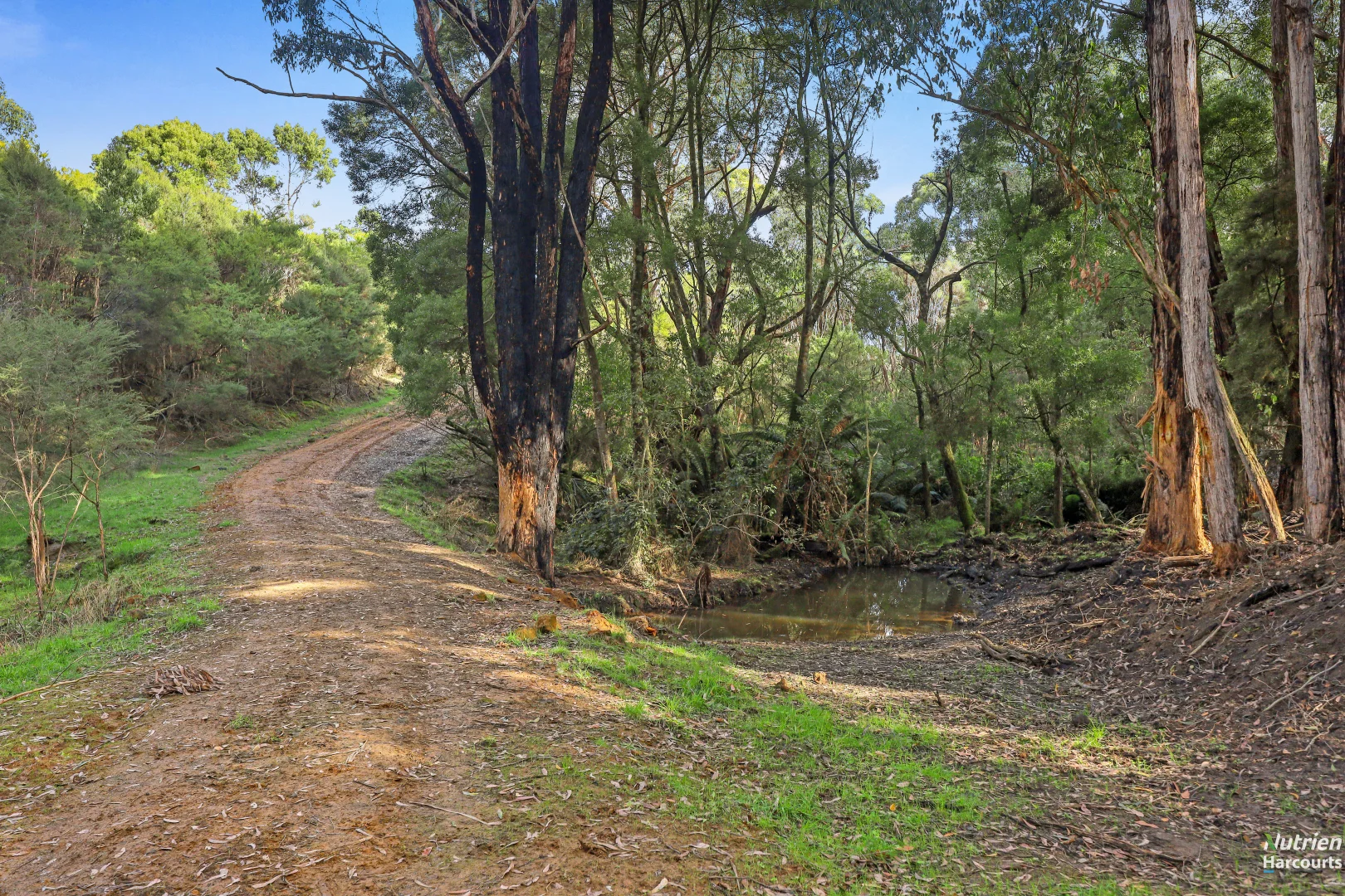 Additional image 6 of 201 Turrong Road, Cooriemungle VIC 3268