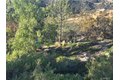 Additional image 38 of 41430 Rolling Hills Dr, Aguanga, CA, 92536