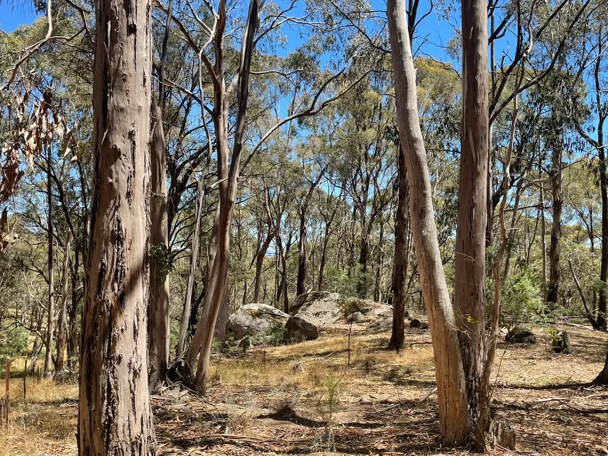 Additional image 17 of Strathbogie VIC 3666