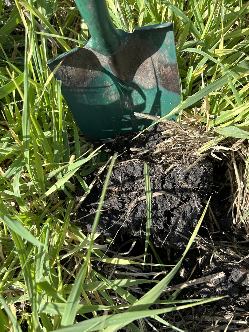 Additional image 18 of Contact Agent, Macarthur VIC 3286