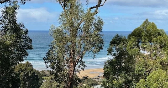 Additional image 8 of 18 Karingal Drive, Wye River VIC 3234